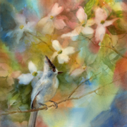 Cecy Turner - Black Crested Titmouse