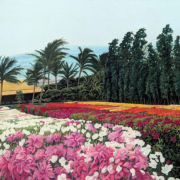 GLORY FIELDS-MAUI_Psalm 72_19_ Oil_30x48_2025SuzanneMorellBerry_RCAS_SpringShow (1)