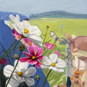 zIMG_0022 Cosmos