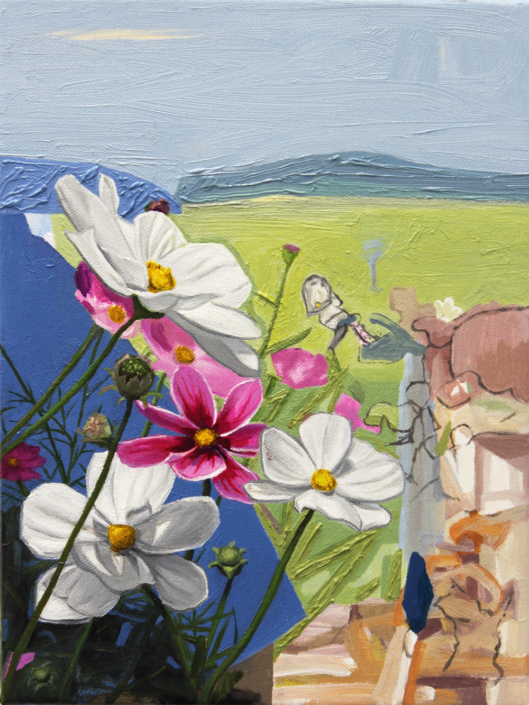 zIMG_0022 Cosmos